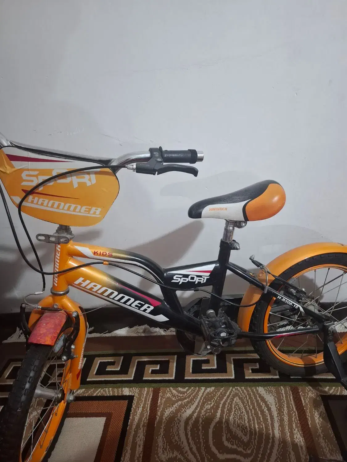 دوچرخه|دوچرخه، اسکیت، اسکوتر|بابل, |دیوار