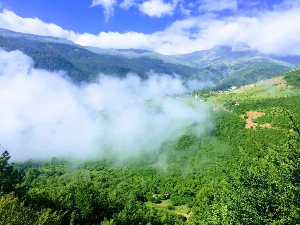 فروش و معاوضه ملک، زمین در گیلان ( فومن )|فروش آپارتمان|رشت, بازار|دیوار