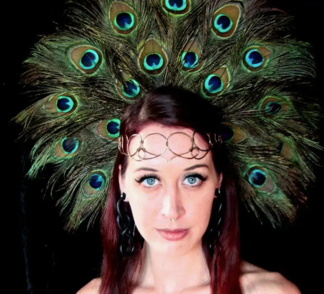 فروش/پر طاووس وارداتی تک و عمده|گل مصنوعی|تهران, افسریه شمالی|دیوار