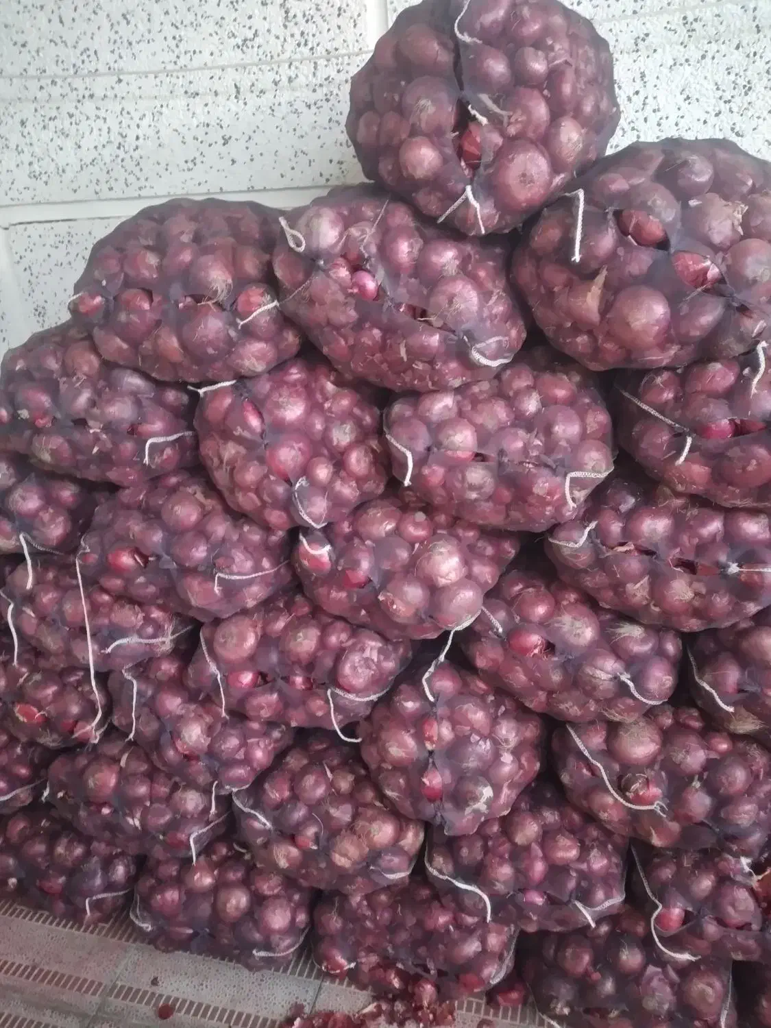 پیاز قرمز درجه ۱|عمده‌فروشی|هشترود, |دیوار