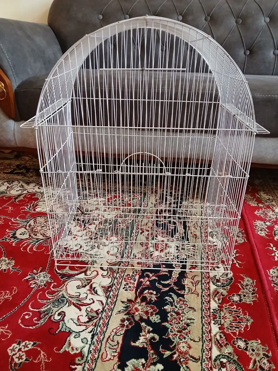 قفس|لوازم جانبی حیوانات|شاهین‌شهر, شهرک گلدیس|دیوار