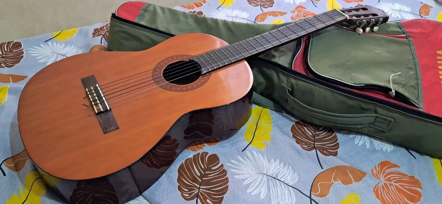 فروش گیتار کلاسیک|گیتار، بیس، امپلیفایر|علی‌آباد کتول, |دیوار