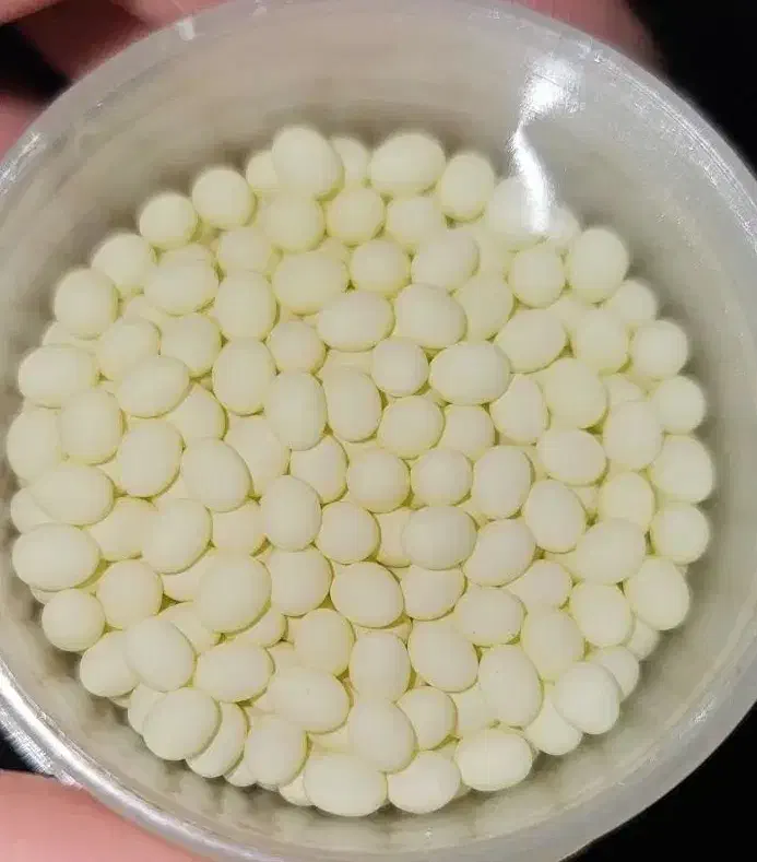 فروش حلزون|خزنده|اردبیل, |دیوار