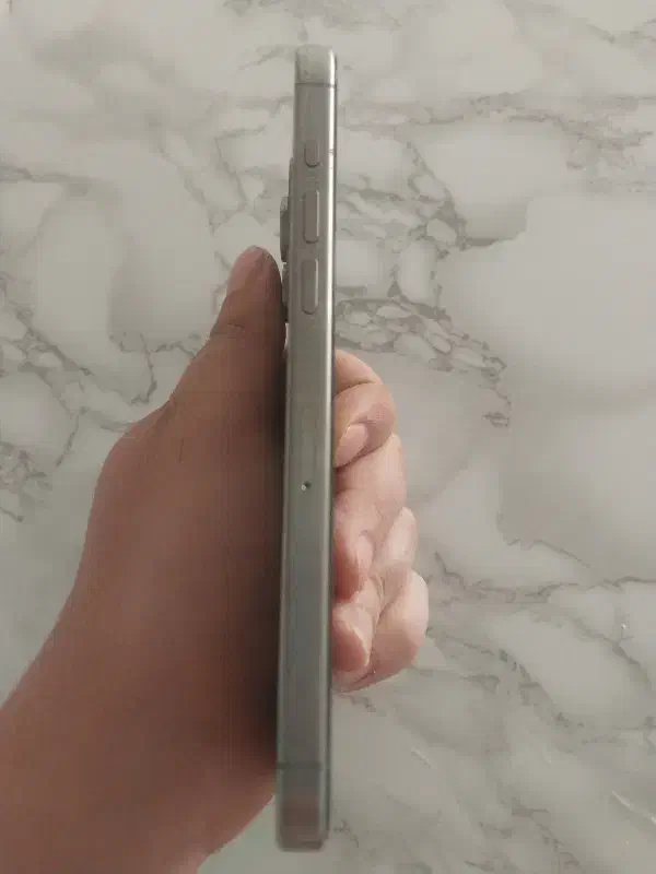 یک دستگاه آیفون ۱۵ پرومکس|موبایل|تهران, مسعودیه|دیوار