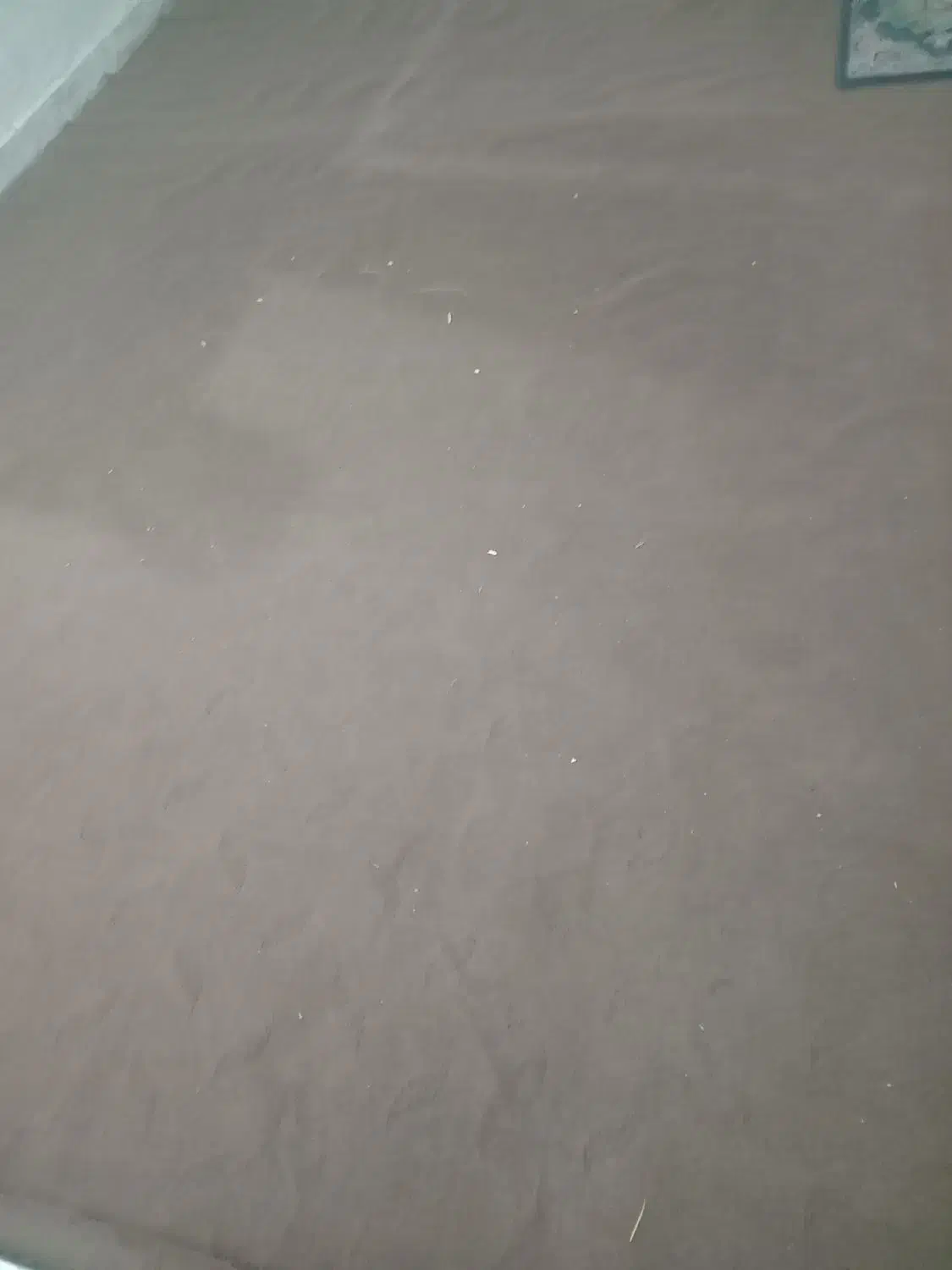 موکت|موکت|مشهد, شهید معقول|دیوار