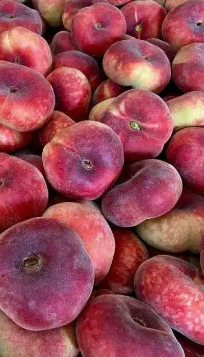 نهال هلو انجیری خونی بصورت پیشفروش|خدمات باغبانی و درختکاری|فردوس (خراسان), |دیوار