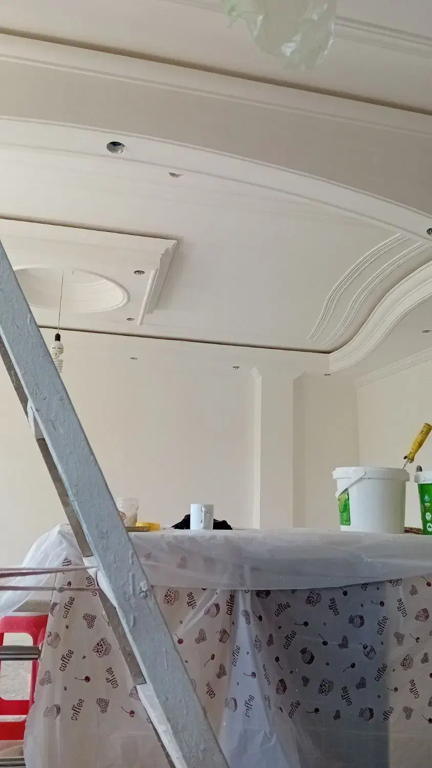 شاگرد نقاش|استخدام معماری، عمران و ساختمانی|شاهرود, |دیوار