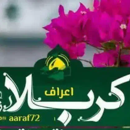 تورهای کربلا و مشهد ویژه بازنشستگان بانک رفاه|تور و چارتر|شهریار, شهریار|دیوار