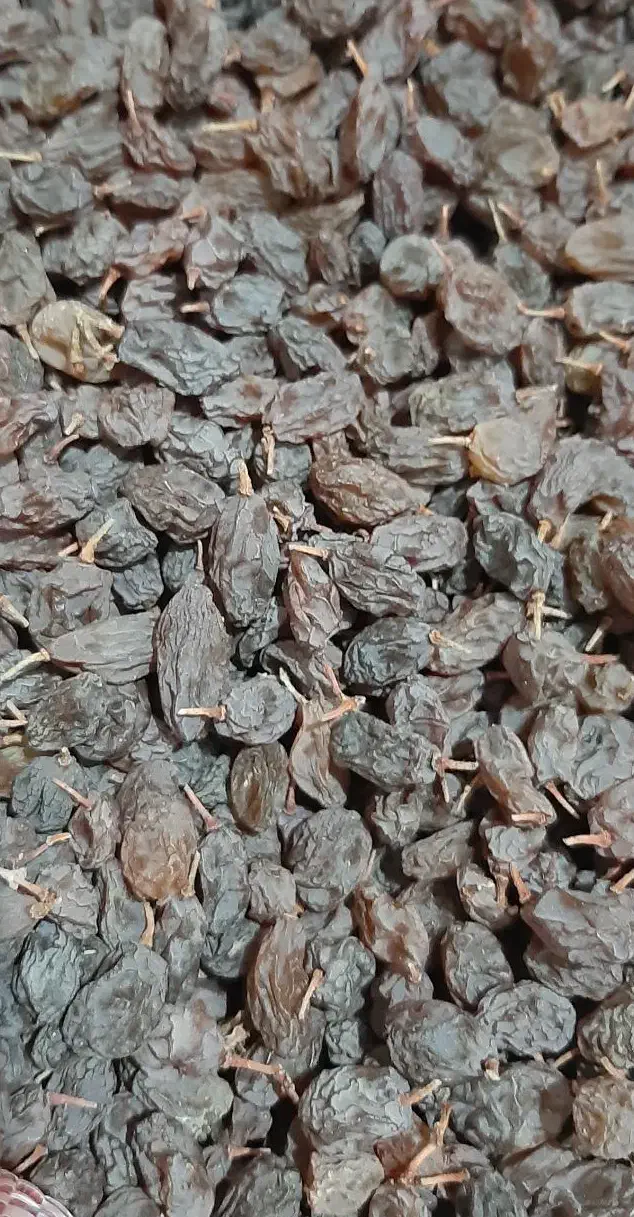 کشمش آفتابی تازه|خوردنی و آشامیدنی|ملایر, |دیوار