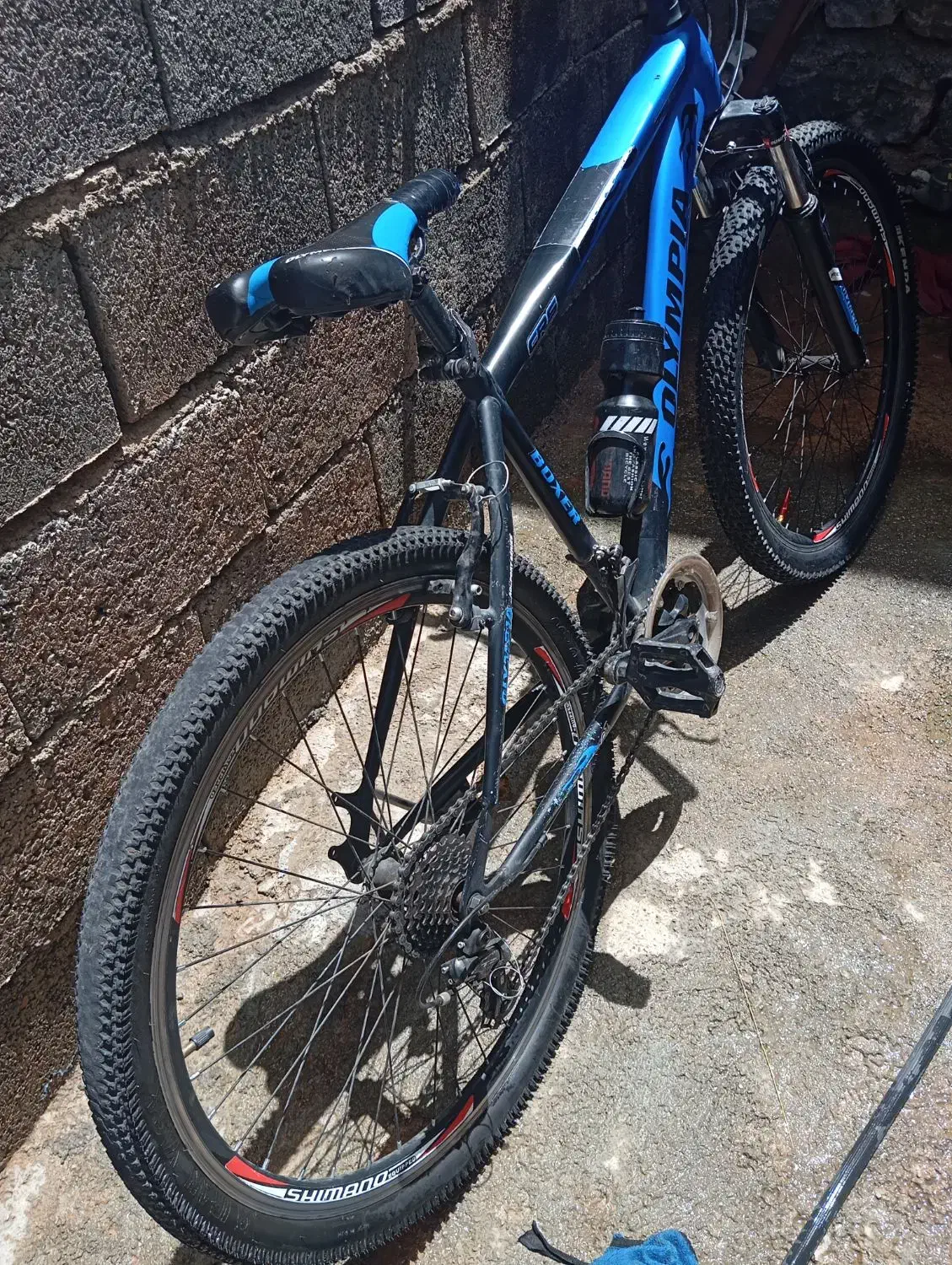 دوچرخه 26 المپیا|دوچرخه، اسکیت، اسکوتر|پاوه, |دیوار