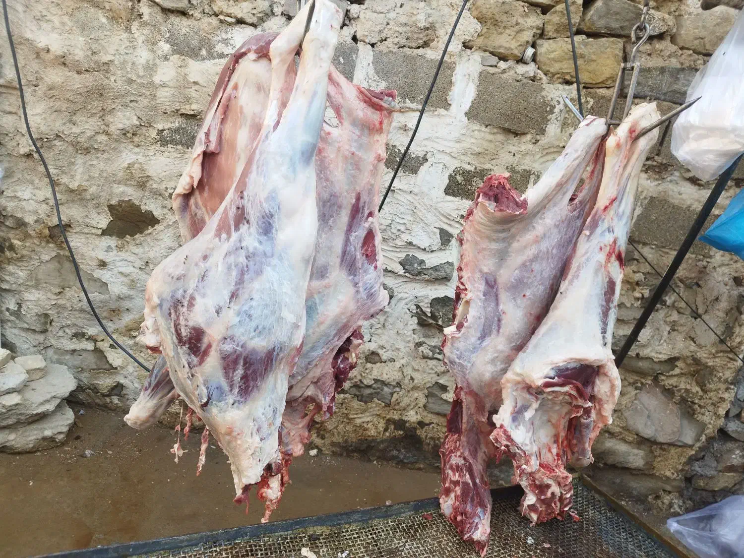 گوشت مراسمات با تخفیف ویژه فروشی|خدمات پذیرایی، مراسم|مسجد سلیمان, |دیوار