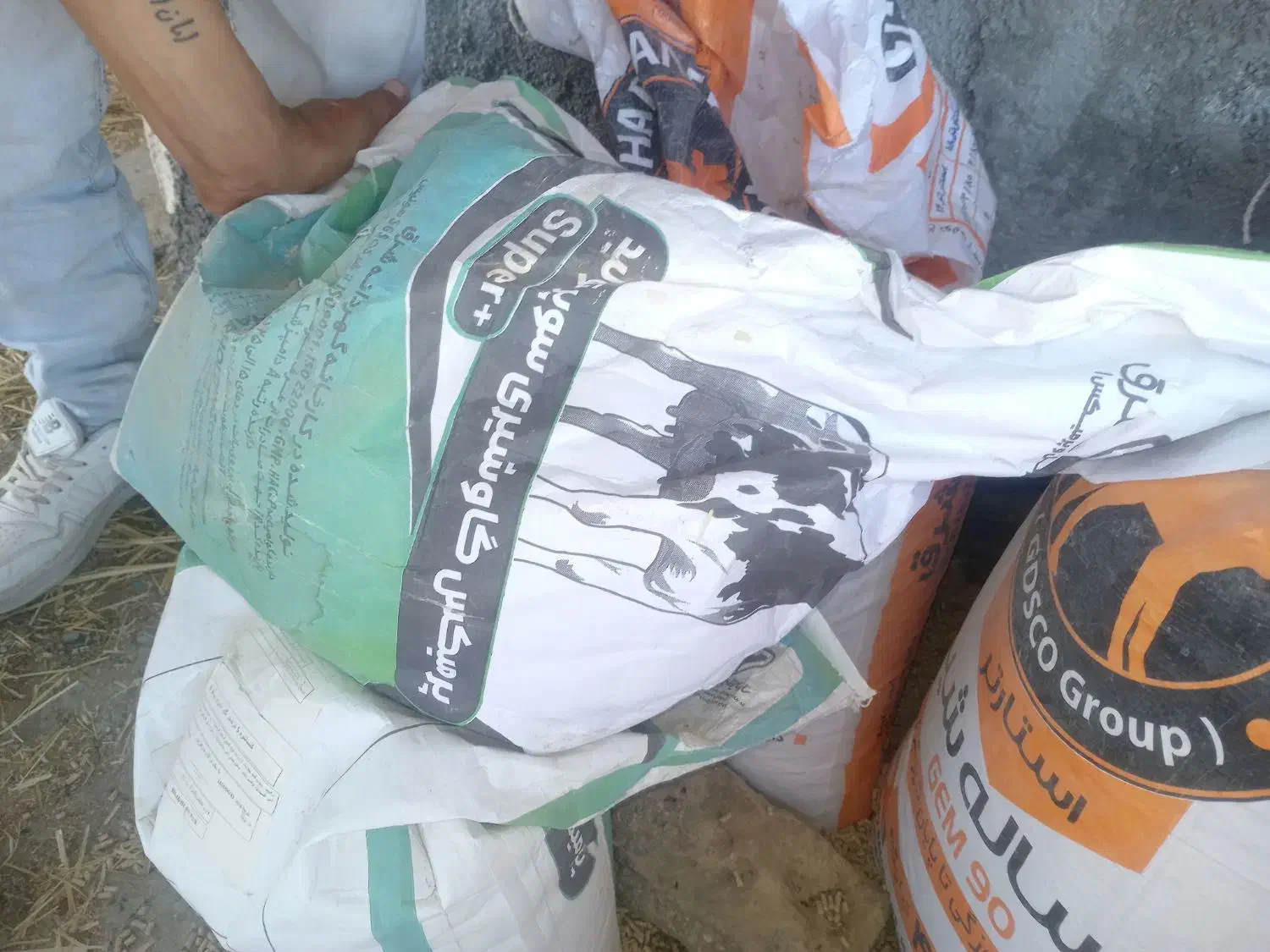 مکمل شرق برای گاو|حیوانات مزرعه|تربت جام, میان جام|دیوار