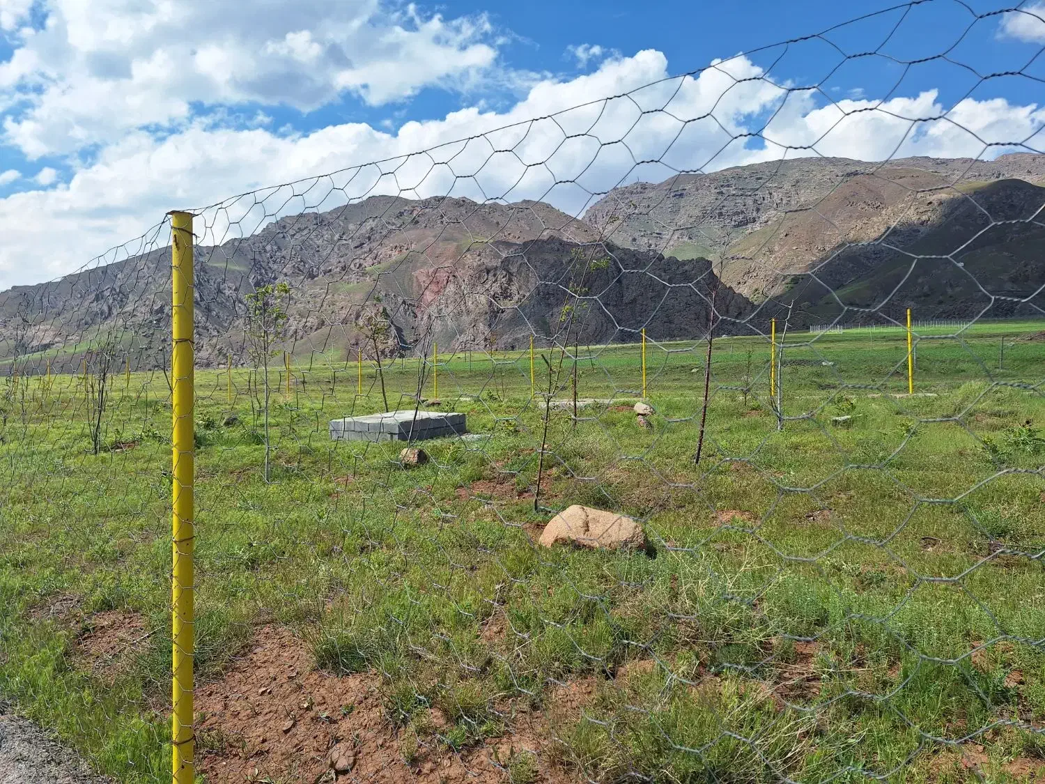 فروش زمین|فروش زمین و ملک کلنگی|طالقان, |دیوار