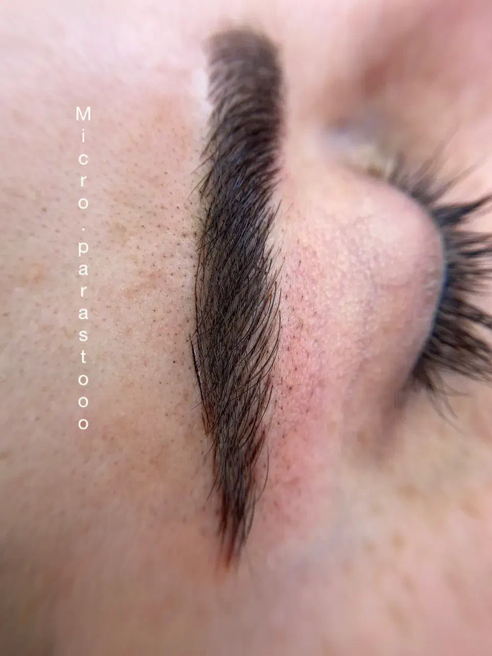 جذب مدل برای کلیه لاین ارایش دائم صورت|خدمات آرایشگری و زیبایی|فردیس, فردیس|دیوار