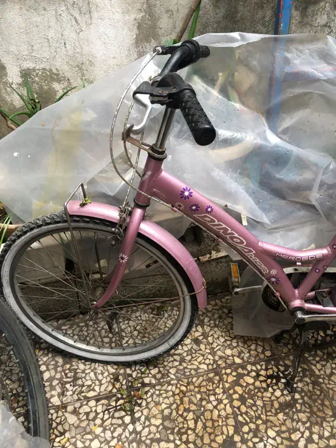 دوچرخه|دوچرخه، اسکیت، اسکوتر|رشت, اسماعیل آباد|دیوار