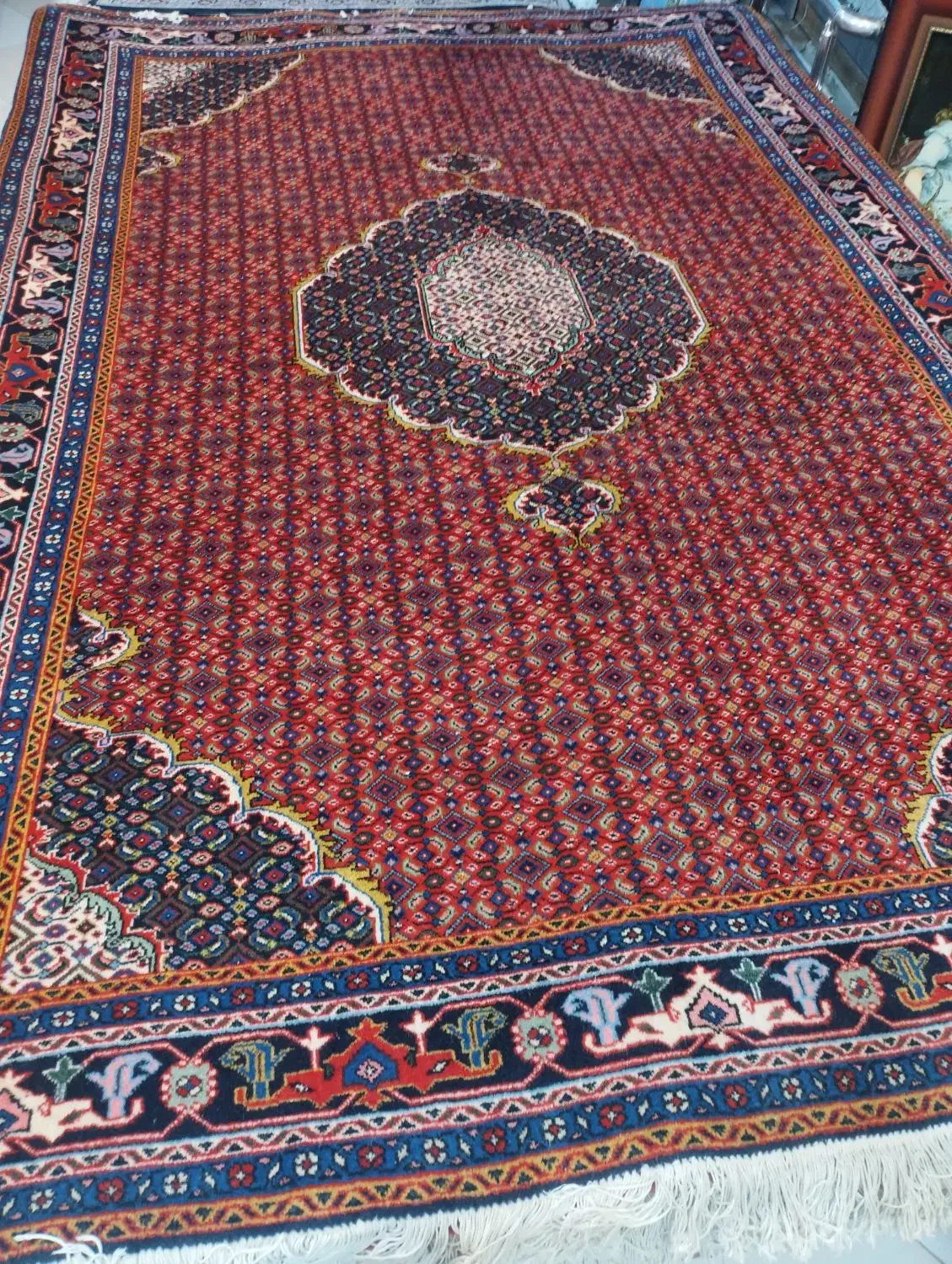 فرش ماهی تک|فرش|اردبیل, |دیوار