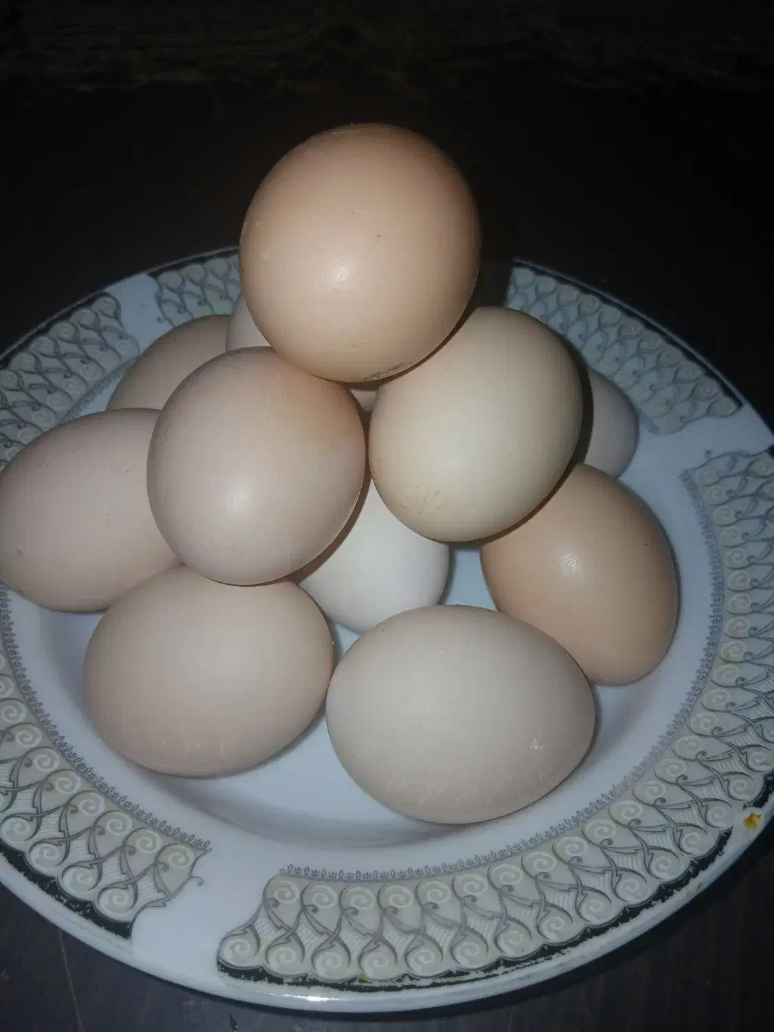 تخم مرغ خانگی|خوردنی و آشامیدنی|تربتحیدریه, منظر|دیوار