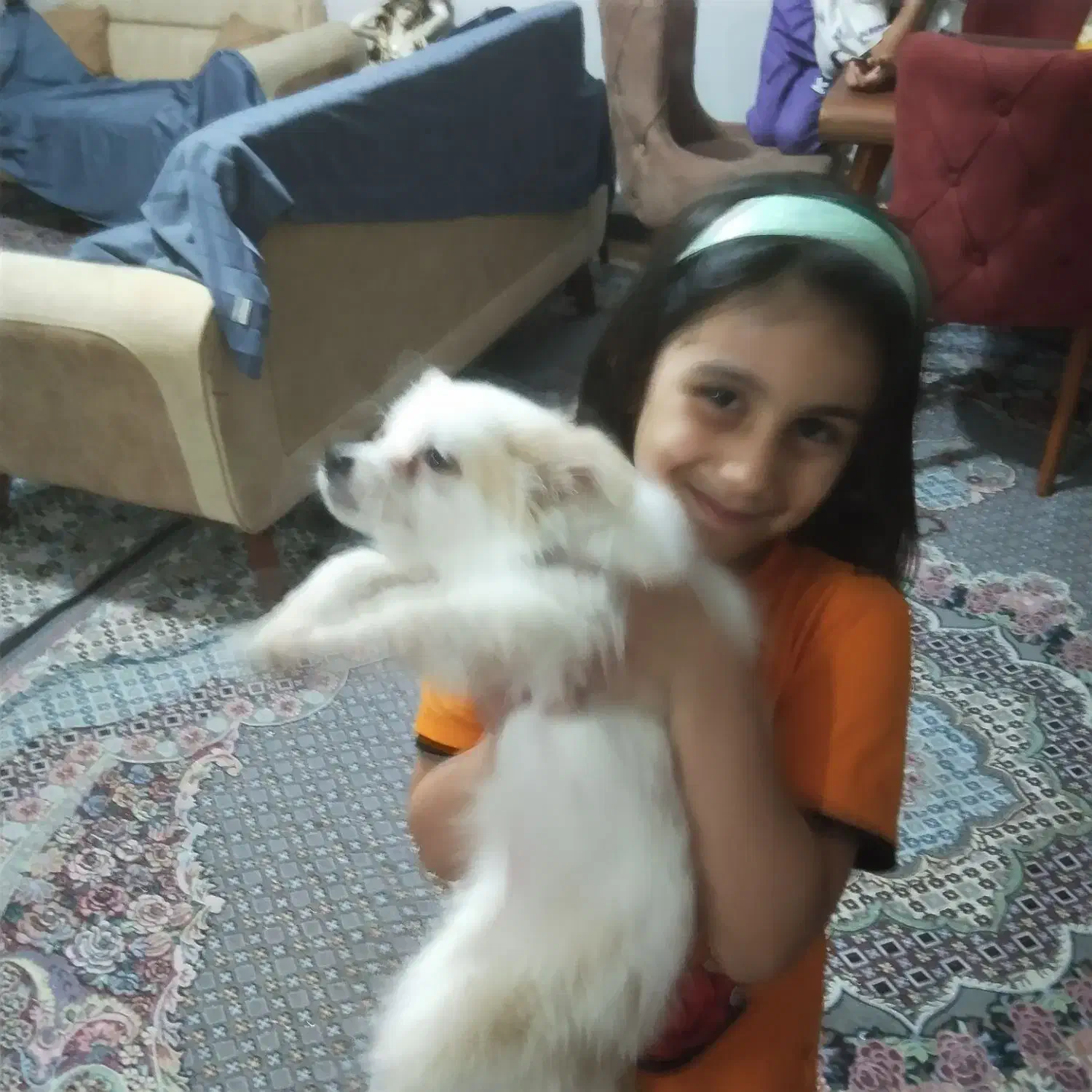 سلام پشمالو نژاد دار|سگ|اهواز, مجاهد|دیوار