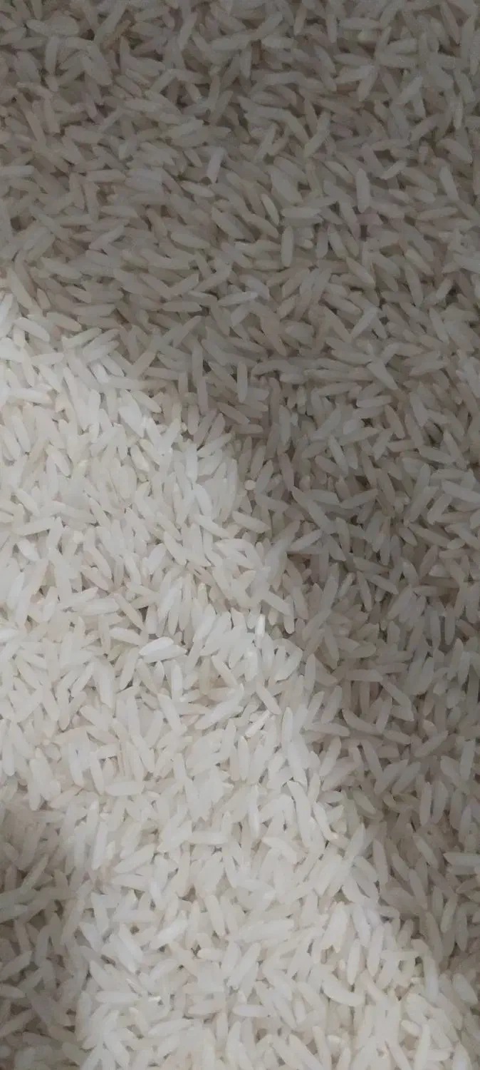 برنج دم سیاه دو بوجار خوش پخت و خوش عطر|خوردنی و آشامیدنی|گنبد کاووس, |دیوار