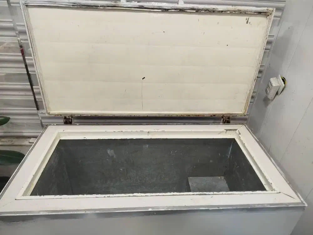 یخچال فریزر|یخچال و فریزر|خرمشهر, |دیوار