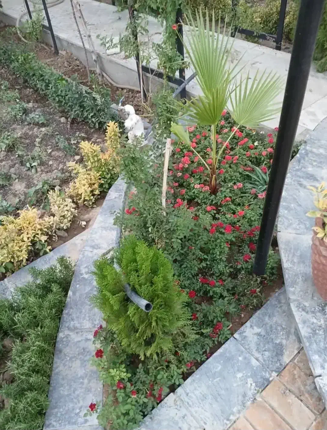 خدمات کلیه باغبانی باغچه کاری هرسکاری کاشت گل وگیا|خدمات باغبانی و درختکاری|تهران, صادقیه|دیوار