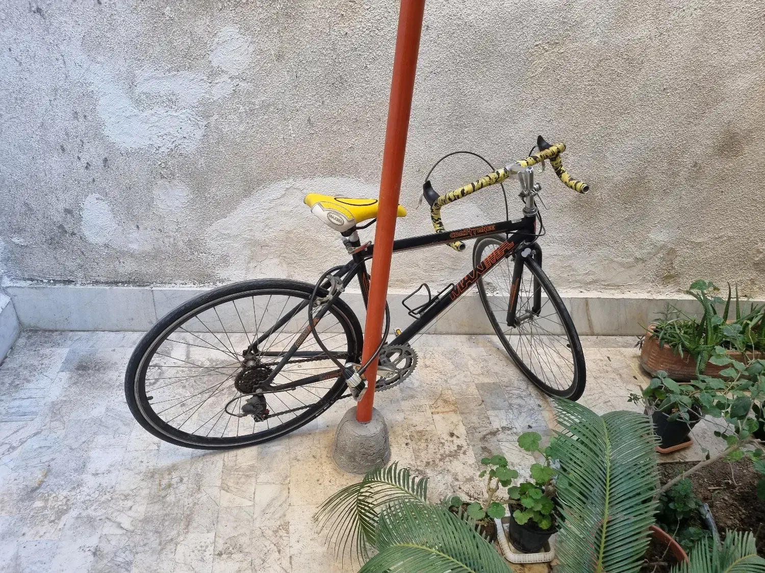 دو چرخه کورسی حرفه ای ماکسیما|دوچرخه، اسکیت، اسکوتر|گرگان, |دیوار