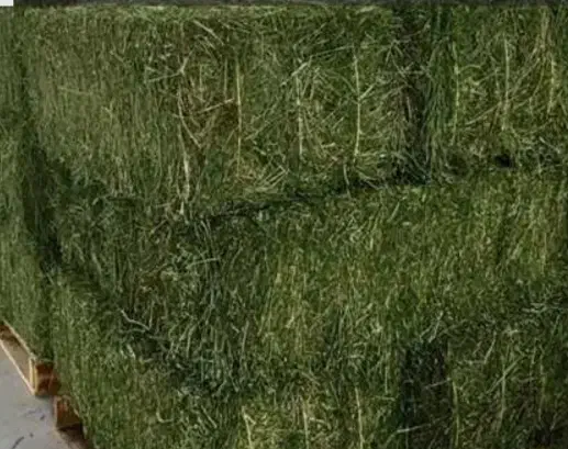 پرس یونجه|لوازم جانبی حیوانات|لردگان, |دیوار