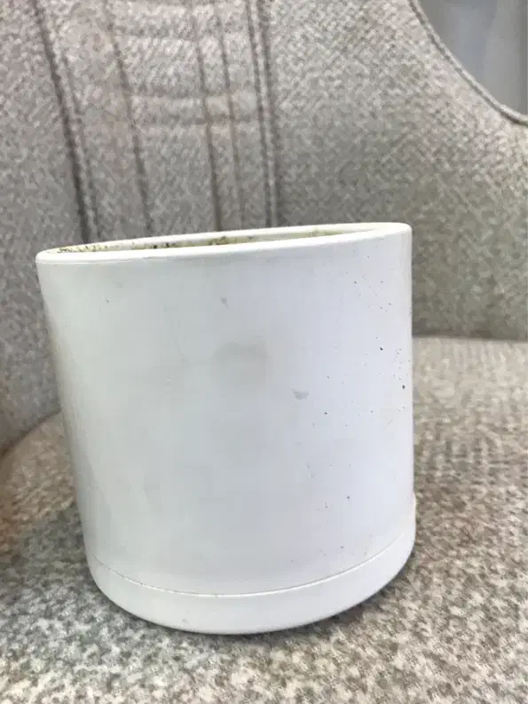 گلدان سرامیکی نشکن|گل و گیاه طبیعی|اصفهان, سرشبادران|دیوار