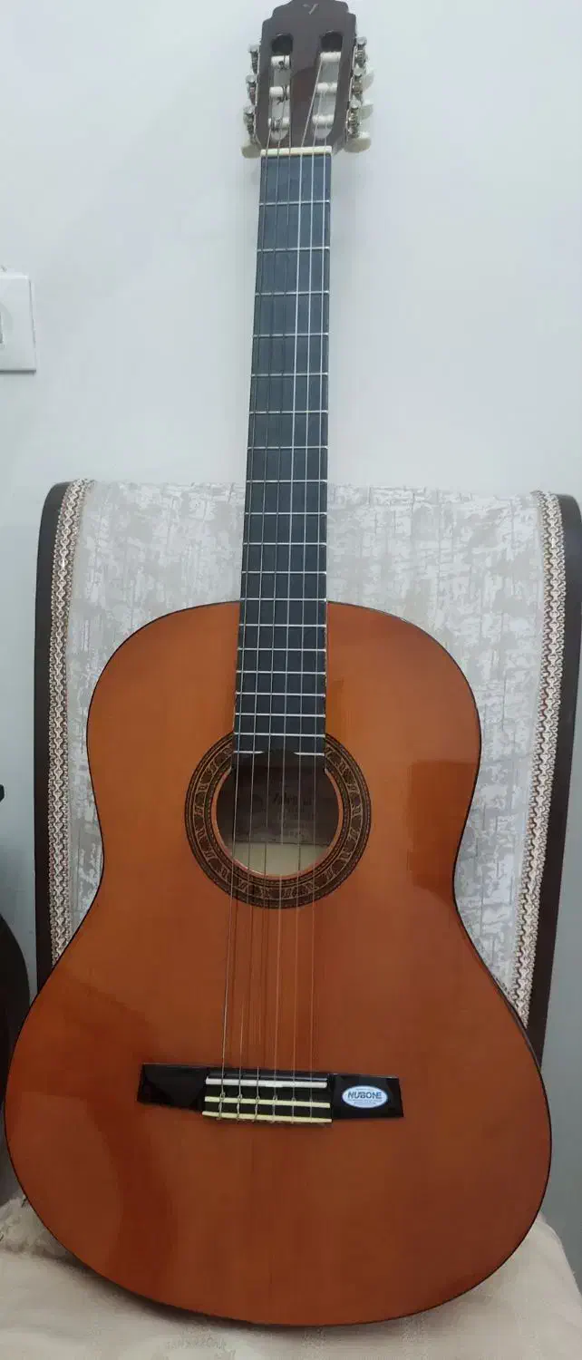 گیتار والنسیا|گیتار، بیس، امپلیفایر|تهران, دولاب|دیوار