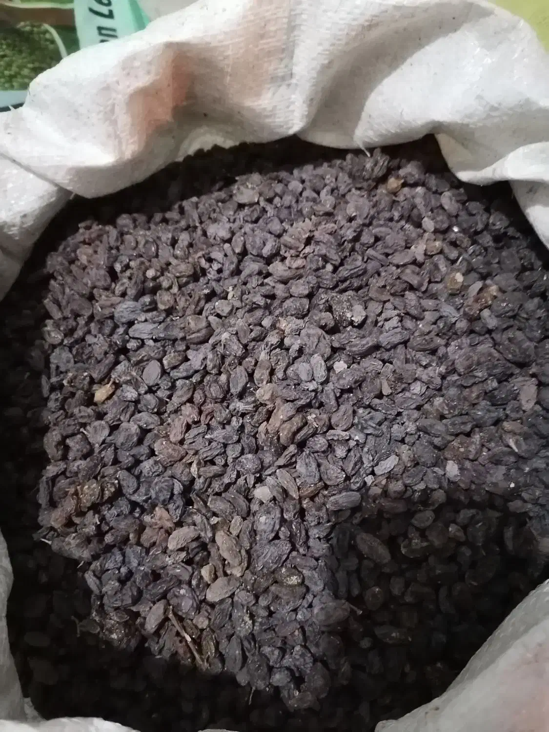 کشمش افتابی|خوردنی و آشامیدنی|یزد, |دیوار