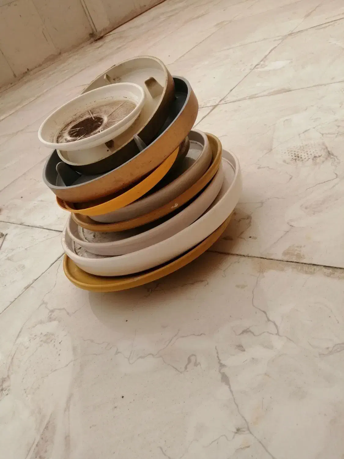 تعدادی گلدان بزرگ و کوچک|گل و گیاه طبیعی|اهواز, پردیس|دیوار