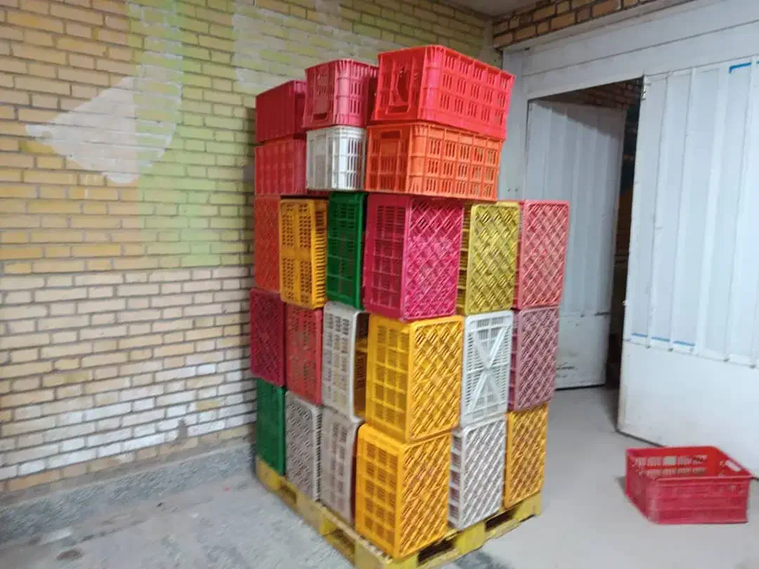 سبد رنگی|ظروف نگهدارنده، پلاستیکی، یکبارمصرف|فردوس (خراسان), |دیوار