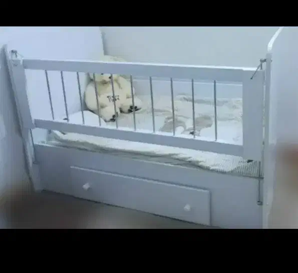 تخت نوزاد با تشک|تخت و سرویس خواب|قزوین, |دیوار