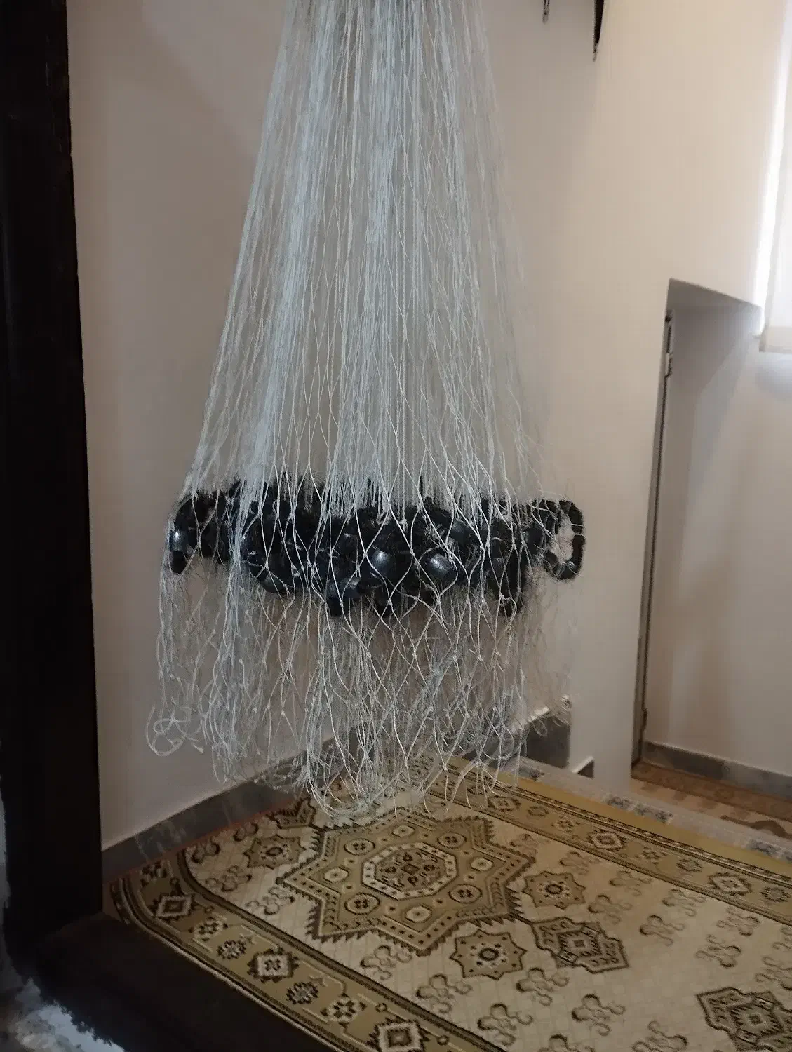 یک عدد سالی ماهی گیری|ماهیگیری|رودسر, |دیوار