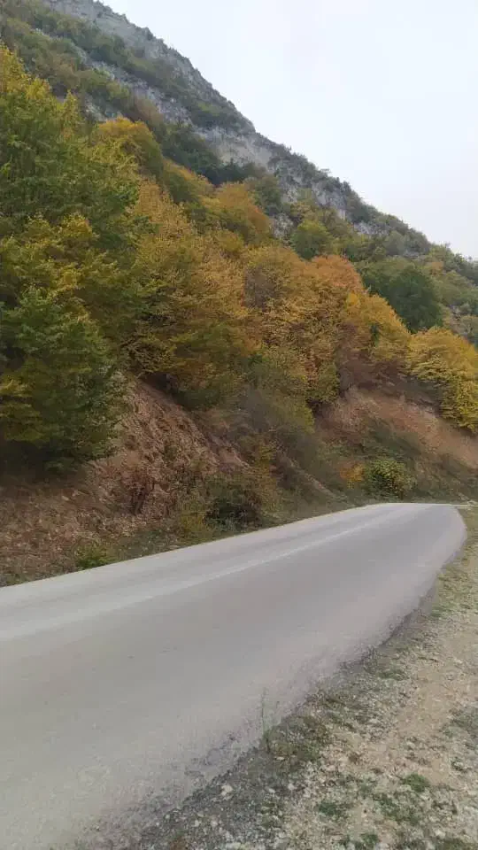 انار ملس ربی و ابگیری|خوردنی و آشامیدنی|بهشهر, |دیوار