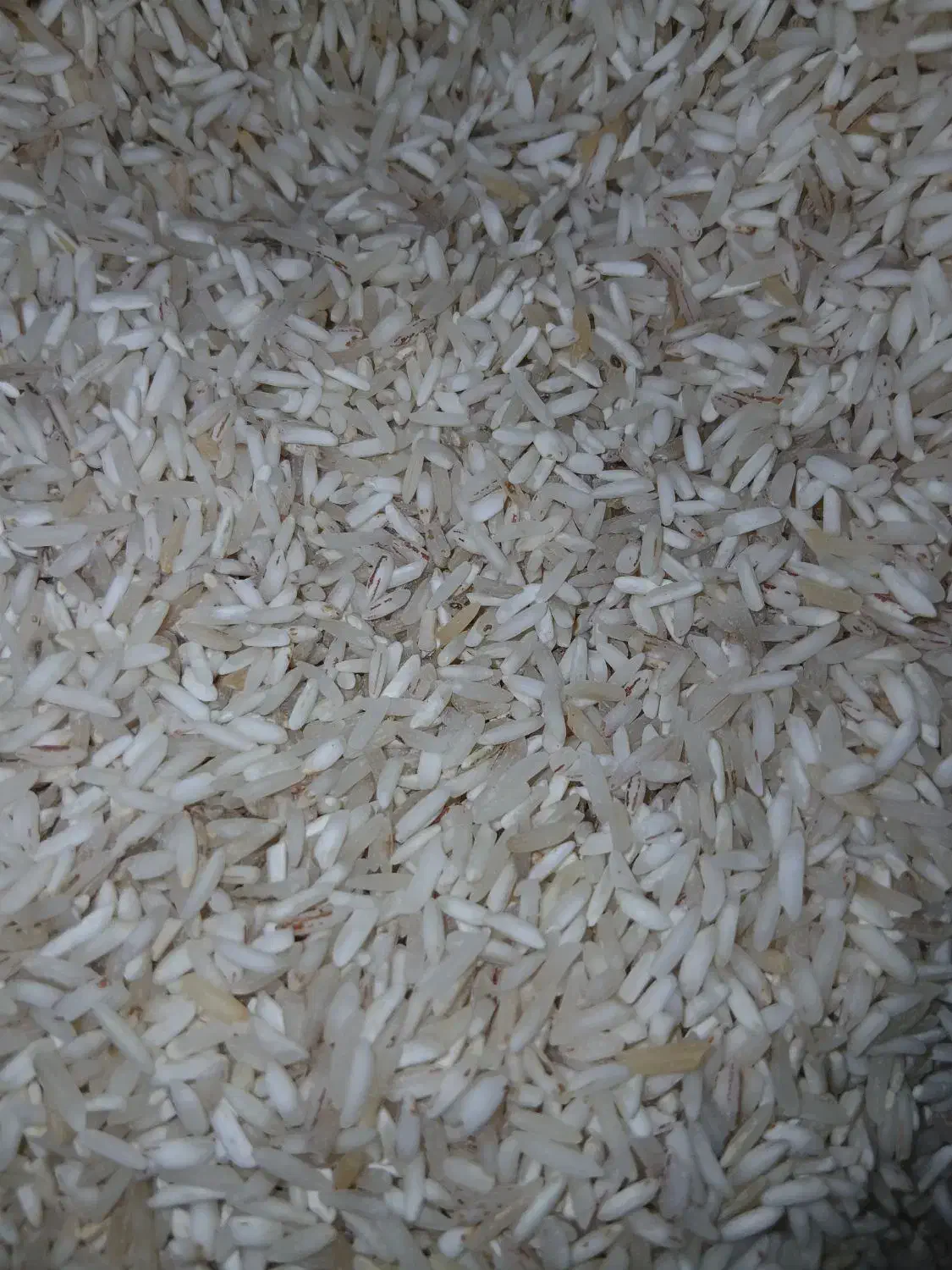 برنج|خوردنی و آشامیدنی|گلی داغ, |دیوار