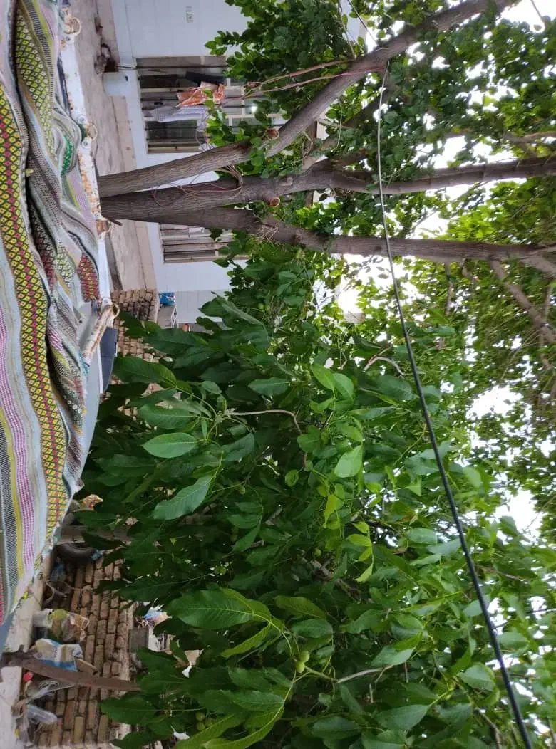 فروش منزل مسکونی|فروش خانه و ویلا|خرم بید, |دیوار