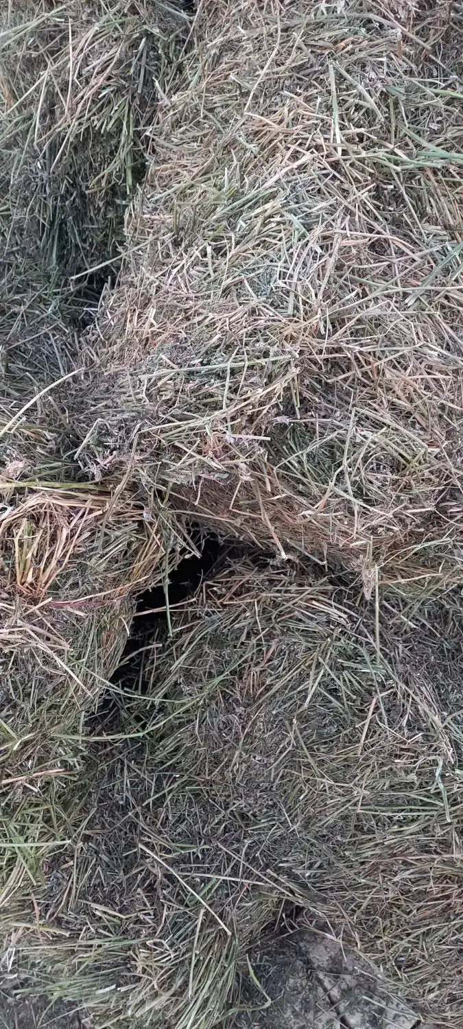 یونجه پرس انباری چین ۳|لوازم جانبی حیوانات|اراک, |دیوار