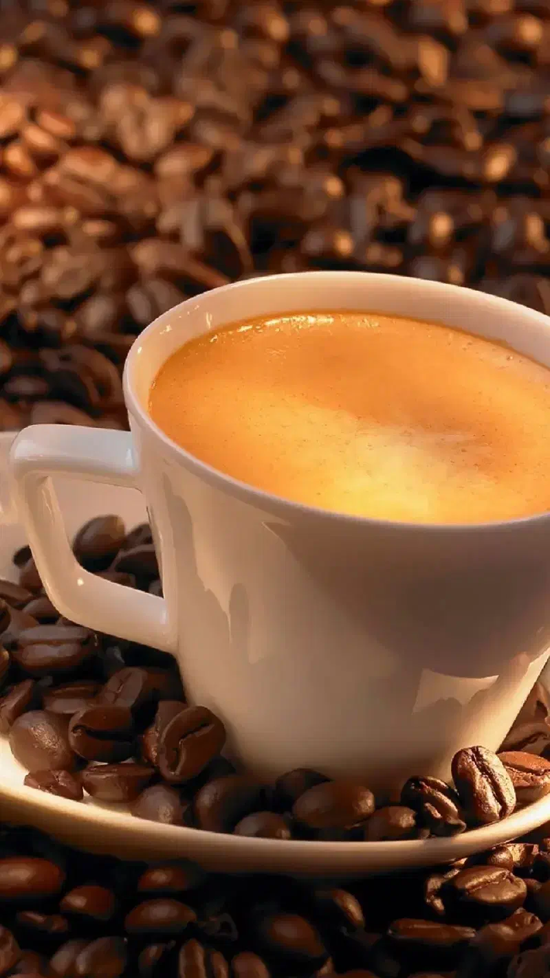 فست فود کار و باریستا|استخدام خدمات فروشگاه و رستوران|رشت, امین الضرب|دیوار