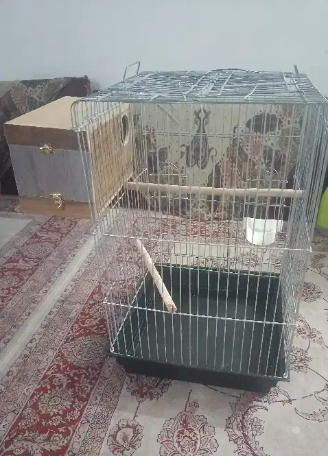 قفس عروس هلندی|لوازم جانبی حیوانات|تهران, تهرانسر مرکزی|دیوار