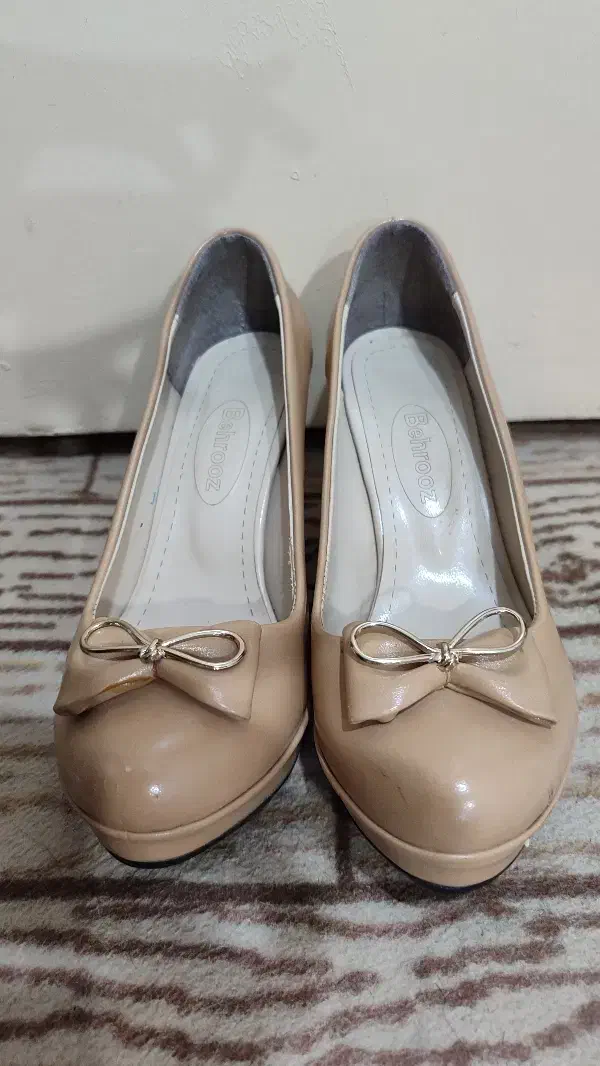 کفش مجلسی|کیف، کفش، کمربند|شاهرود, |دیوار