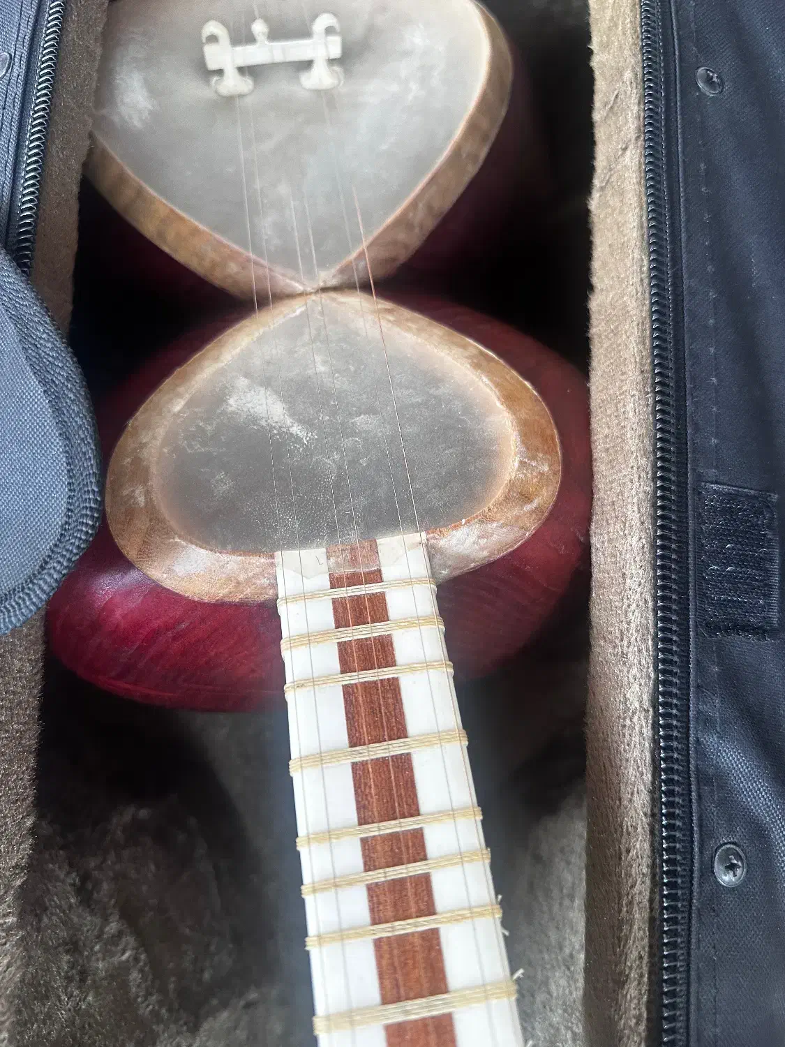 فروش تار|سازهای سنتی|کرمانشاه, |دیوار