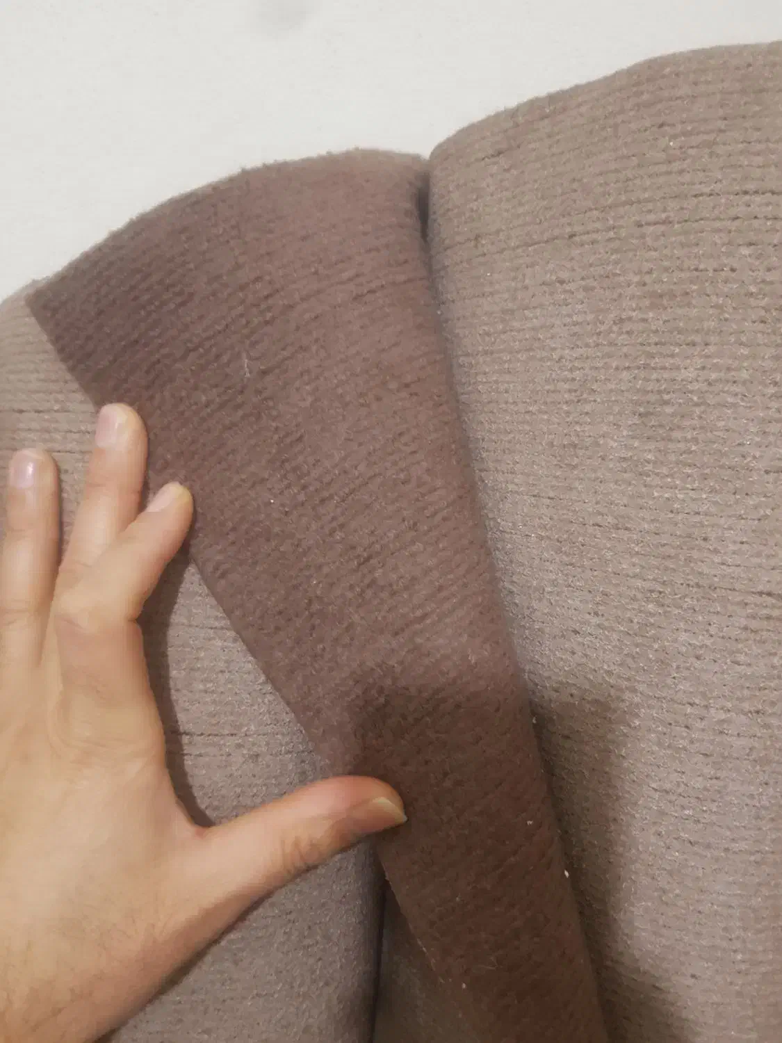 موکت درحدنو میباشد.|موکت|گنبد کاووس, |دیوار