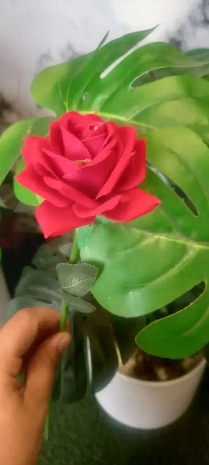 شاخه گل مصنوعی هدیه ویژه روز دانش آموز و...|گل و گیاه طبیعی|شیراز, نصرآباد|دیوار