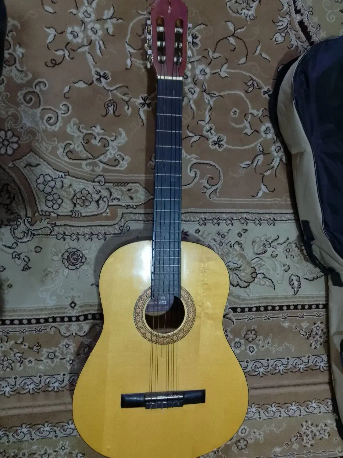 گیتار کلاسیک پویا G2|گیتار، بیس، امپلیفایر|فومن, |دیوار