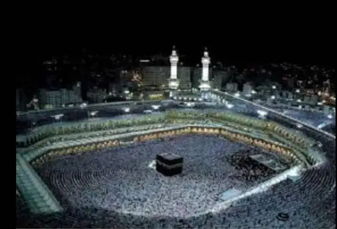 دو عدد فیش حج|تور و چارتر|لامرد, |دیوار