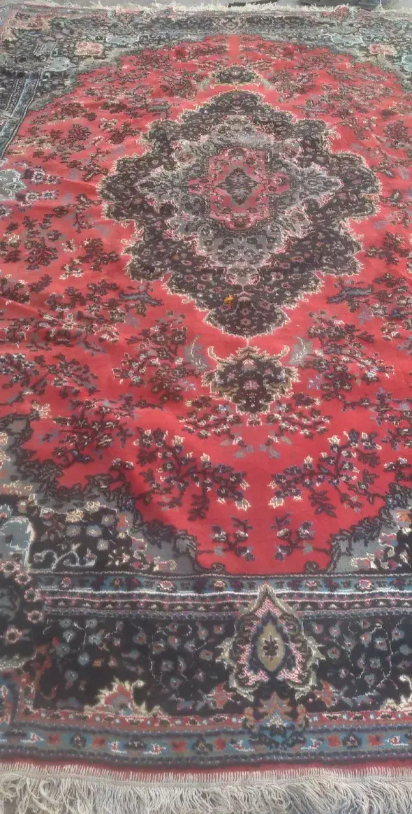 فرش ۶ متری نخ|فرش|گرگان, |دیوار