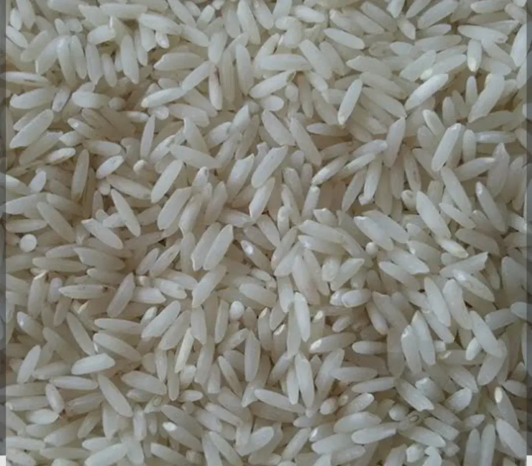 فروش برنج مرغوب|خوردنی و آشامیدنی|بابل, |دیوار