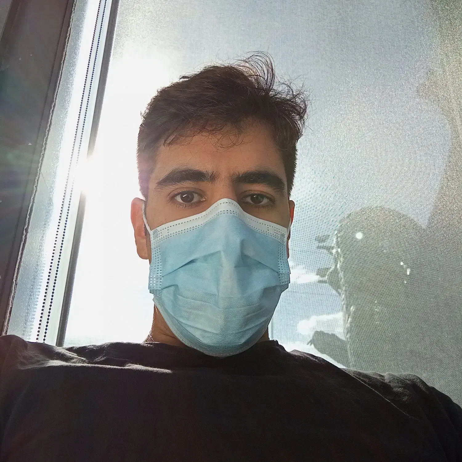 پارنتر زبان آلمانی میخوام|فعالیت داوطلبانه|قدس, شهر‌قدس|دیوار