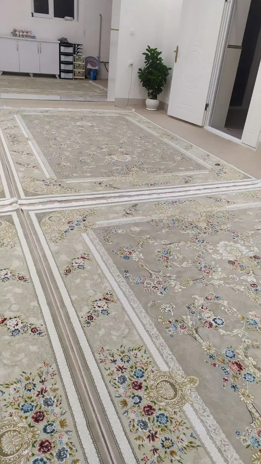 فرش نو|فرش|اشنویه, |دیوار